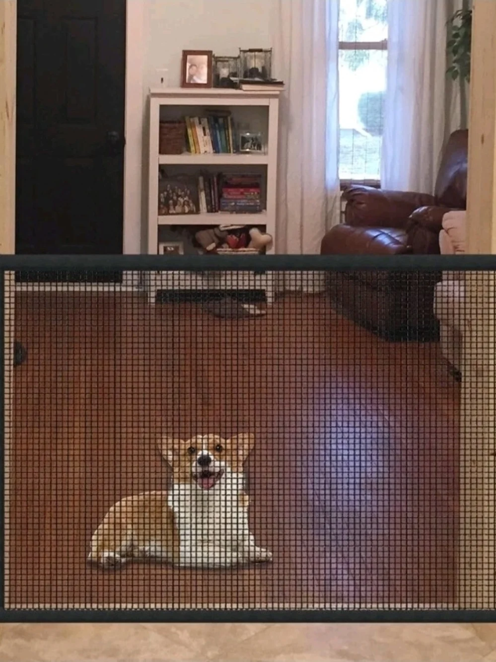 Coperni Portable Mesh Dog Gate - Black